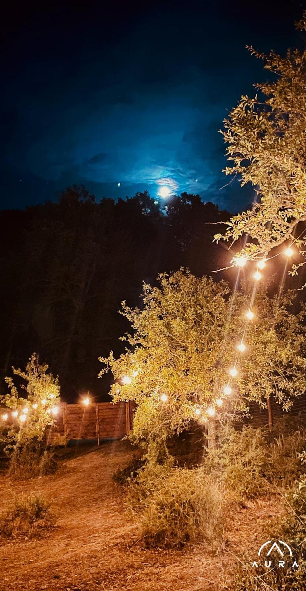 Hotel Aura - Glamping Experience Accettura Exteriér fotografie