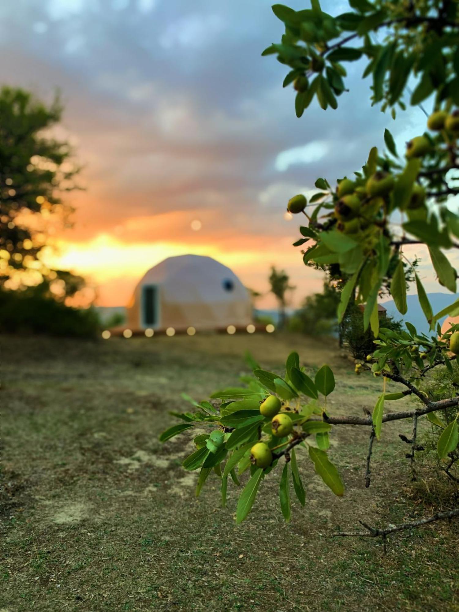 Hotel Aura - Glamping Experience Accettura Exteriér fotografie
