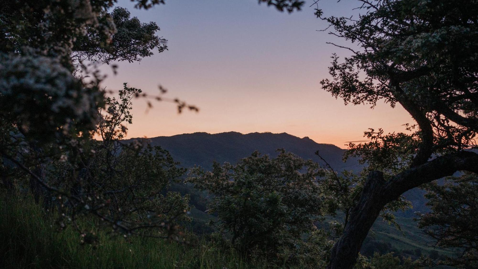 Hotel Aura - Glamping Experience Accettura Exteriér fotografie